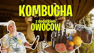 KOMBUCHA z owocami czyli testuję ŚWIEŻE DODATKI na refermentację [upl. by Reklaw476]