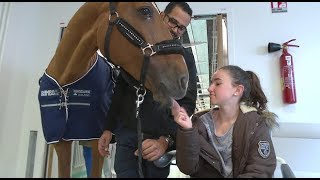 Hôpital  un cheval au chevet des patients  Le Magazine de la santé [upl. by Irah]