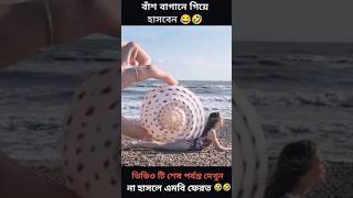 বাঁশ বাগানে গিয়ে হাসবেন কনফার্ম 🤣🤣comedyfunnyshortvideoshorts shortfeedcartoon factsmoments [upl. by Leruj]