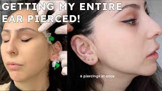 GETTING MY WHOLE EAR PIERCED IN ONE DAY  pain aftercare healing tips [upl. by Pesek]