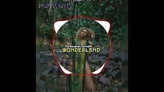 Wonderland kika 675 remix2024 [upl. by Atilef]