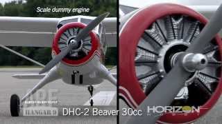 DHC2 Beaver 30cc ARF by Hangar 9 [upl. by Maxey707]