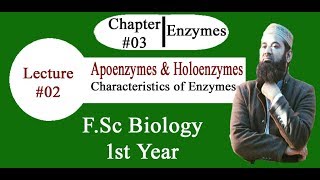 Biology Ch03Lecture02 Apoenzymes and Holoenzymes FSc 1st Year [upl. by Anwahsiek]