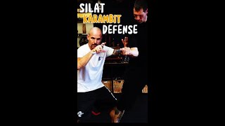 SILAT Karambit DEFENSE Simplified [upl. by Boarer143]