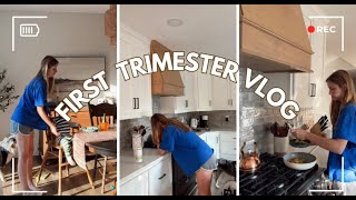 first trimester vlog  weeks 5 amp 6  pregnant with a toddler [upl. by Rollie392]