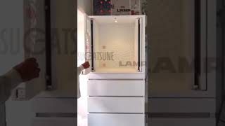 Know more about the POCKET DOOR SYSTEM by Sugatsune [upl. by Brenk]