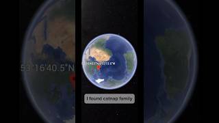 I found catnaps family music meowingtons catmonth felinefriday catworld catnip [upl. by Anuhsal]