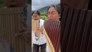 GRECKIE WINO panflute livemusic quena quenacho Zampoña nativeflutes [upl. by Zizaludba]