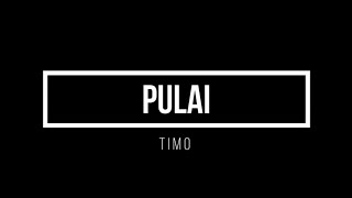 PULAI  TIMO LIRIK [upl. by Llenet]