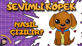 Kolay Sevimli Köpek Çizimi  Köpek Nasıl Çizilir kolaycizim [upl. by Seuguh51]