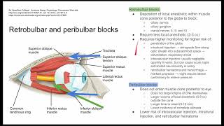 Retrobulbar and peribulbar blocks [upl. by Eilagam]