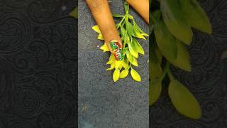 Simple Safety pin 🧷 NailArt Design For Beginners women pleasesubscribe youtubeshorts shortsnail [upl. by Jaela]