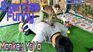 Monkey YoYo JR and Dad are exercising happily  Monkey Baby YoYo [upl. by Annoet]