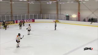 AIK Hockey vs Brynäs IF  Game Highlights [upl. by Odlaner534]