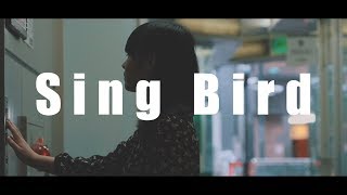 Sing BirdカラフルスクリームOfficial Video [upl. by Doe]