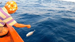 Catching Leatherjacket Fish in Sea [upl. by Ecire862]