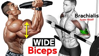 12 BEST Exercises for WIDER BICEPS [upl. by Adnaluy]