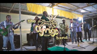 SIRINA LIVE By the Afrigo Band [upl. by Hofmann41]