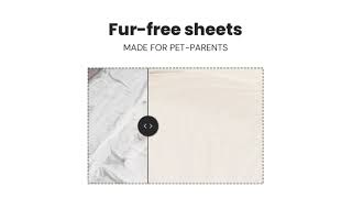 Regular sheets—pet hair nightmare Slashop sheets—just a flick and the furs gone [upl. by Urbana]