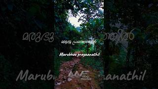 Azhalerum jeevitha maruvil music lyrics [upl. by Ymereg436]