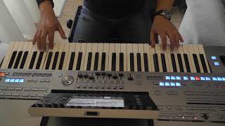 Yamaha Tyros 5 cover [upl. by Nnylacissej]