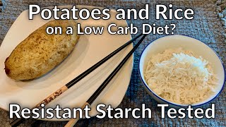 Potatoes and Rice on a Low Carb  Keto Diet Resistant Starch Tested pt 1 [upl. by Cully536]