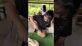 Week 3 Beginner Girl Durian Cutting Skills  Fruit Cutting Skills [upl. by Hcir786]