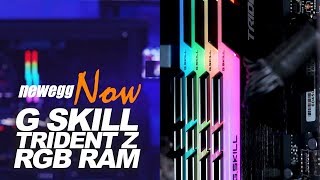 Newegg Now RAM RGB and overclocking with GSKILL TridentZ [upl. by Windsor]