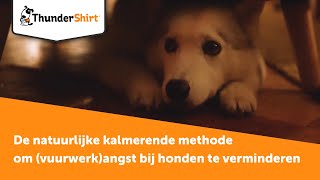 ThunderShirt  De natuurlijke kalmerende methode om vuurwerkangst bij honden te verminderen [upl. by Trimmer]