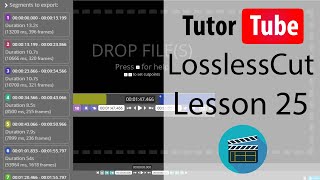 LossLessCut Tutorial  Lesson 25  Set Custom Start Offset Timecode [upl. by Dionisio922]