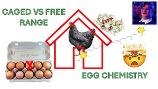 Eggsplore the Chemistry FreeRange vs Caged Eggs EXPOSED [upl. by Delbert165]