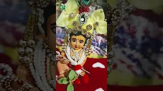 Jay Shri Shyam Khatu Nareshlove song shyam 🌺🌺🙏☘️💕🌹🌹🌹shortvideo viralvideo 🌹🌹🙏👍🔔 [upl. by Ittocs]