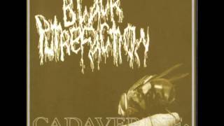 Black Putrefaction  12 Tracks [upl. by Aniret]