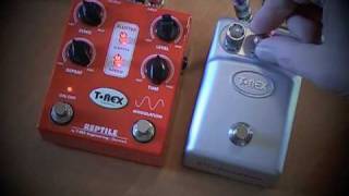 TRex Tonebug Distortion with Reptile Delay [upl. by Knorring]