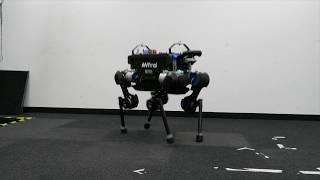 Online Motion Optimization and WholeBody Control for Quadrupedal Robots [upl. by Bilac]