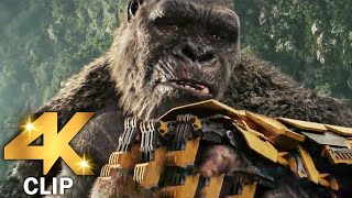 Kong Gets Beast Glove Scene  GODZILLA X KONG THE NEW EMPIRE 2024 Movie CLIP 4K [upl. by Ahsinrac]