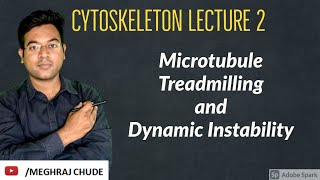 Cytoskeleton Part 2 Microtubule TreadmillingDynamic Instability [upl. by Nelia]