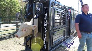 Lets Work Cows with a Rancher Hydraulic™ Squeeze Chute [upl. by Ching]