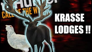 Super Rare und Great One  Trophylodge React  theHunter Call of the Wild [upl. by Birmingham]