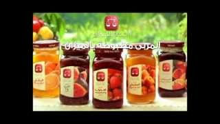 El Rashidi El Mizan Jam launch 2009 اعلان مربى الرشيدى الميزان [upl. by Scherman]