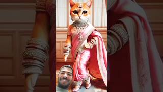 Cat marriage 💖☺️ytshorts shortvideo [upl. by Lia]