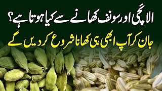 Benefits Of Cardamom Sabaz Ilaichi And Mint Sonf  Ilaichi Or Soonf K Faide UrduHindi [upl. by Edya135]