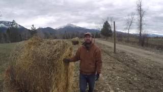 ABC acres Quick Pasture Fix Using quotWastequot Straw  episode 039 [upl. by Llamaj679]