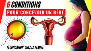 Fécondation chez la femme 6 conditions pour concevoir un bébé [upl. by Rohclem683]