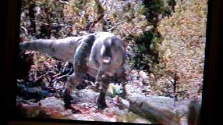 ALLOSAURUS A walking with dinosaurs special part 3 [upl. by Akimit]