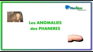 Les anomalies des phanères [upl. by Anujra]