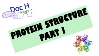 OCR ALevel Biology  Proteins  Part 1 212 Biological Molecules [upl. by Mellins]