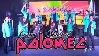 UN PALOMAZO CUMBIAMBERO  Grupo Musical Palomec 2021 [upl. by Nnairahs]