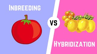 Hybridization vs Inbreeding [upl. by Ellahcim239]