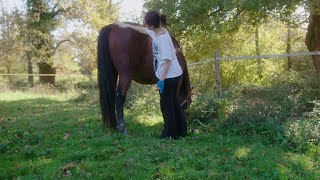 Au contact des chevaux  du répit pour les parents [upl. by Bonilla]